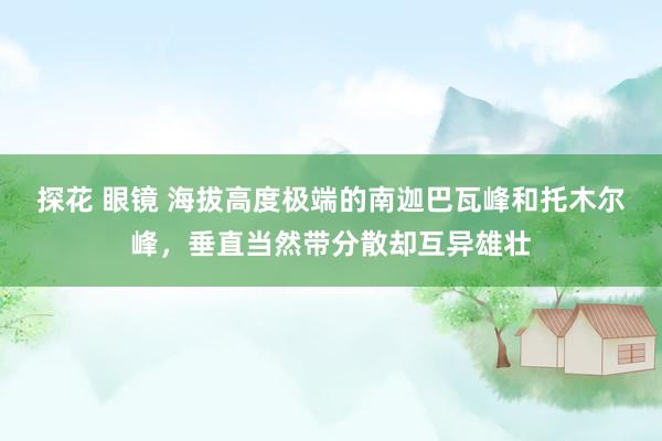 探花 眼镜 海拔高度极端的南迦巴瓦峰和托木尔峰，垂直当然带分散却互异雄壮
