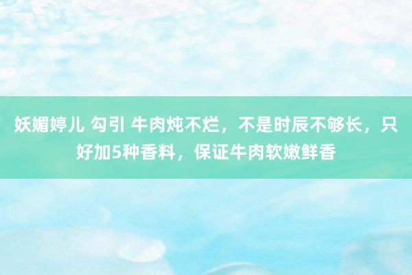 妖媚婷儿 勾引 牛肉炖不烂，不是时辰不够长，只好加5种香料，保证牛肉软嫩鲜香