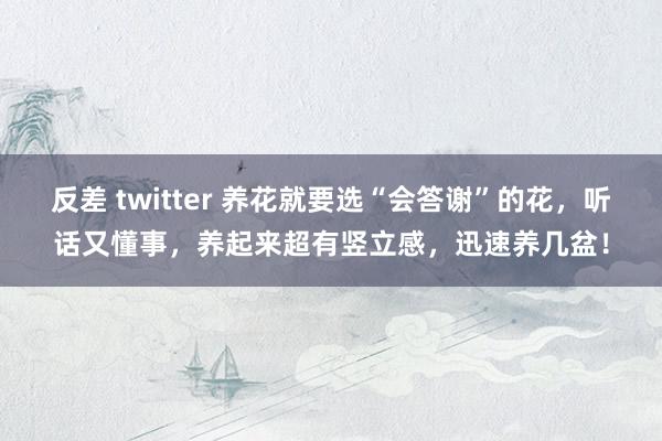 反差 twitter 养花就要选“会答谢”的花，听话又懂事，养起来超有竖立感，迅速养几盆！