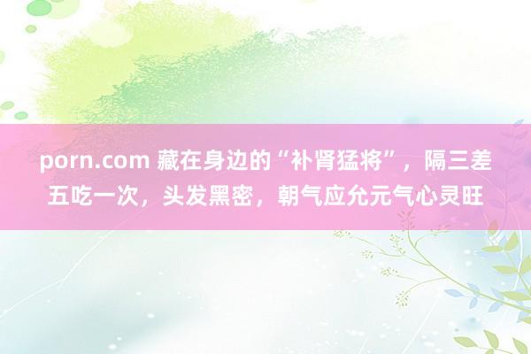 porn.com 藏在身边的“补肾猛将”，隔三差五吃一次，头发黑密，朝气应允元气心灵旺