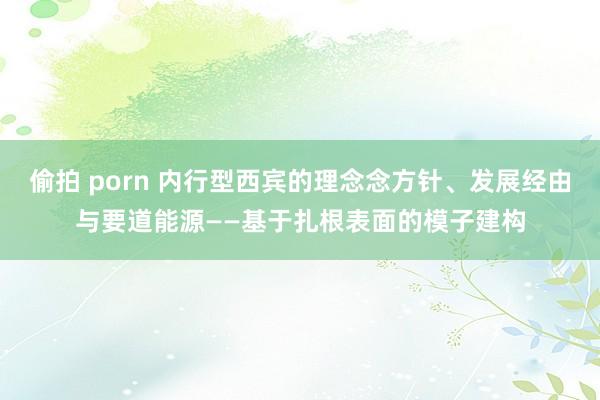 偷拍 porn 内行型西宾的理念念方针、发展经由与要道能源——基于扎根表面的模子建构