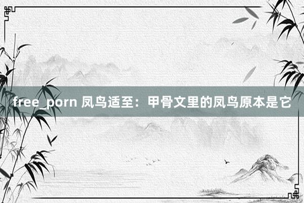 free_porn 凤鸟适至：甲骨文里的凤鸟原本是它