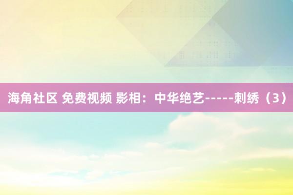 海角社区 免费视频 影相：中华绝艺-----刺绣（3）