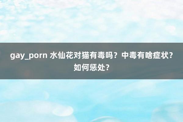 gay_porn 水仙花对猫有毒吗？中毒有啥症状？如何惩处？