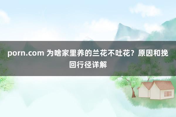 porn.com 为啥家里养的兰花不吐花？原因和挽回行径详解
