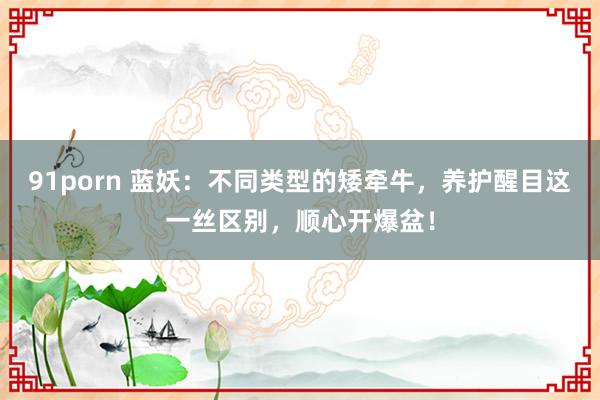 91porn 蓝妖：不同类型的矮牵牛，养护醒目这一丝区别，顺心开爆盆！