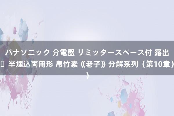 パナソニック 分電盤 リミッタースペース付 露出・半埋込両用形 帛竹素《老子》分解系列（第10章）
